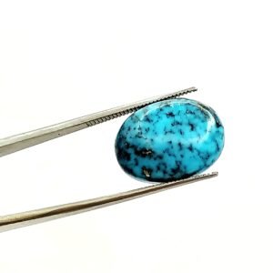 Natural Irani Turquoise