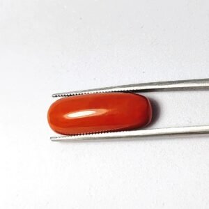 Natural Red Coral (Moonga)