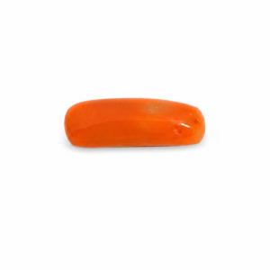ChatGPT Image Jul 3, 2026, 09 27 25 PM