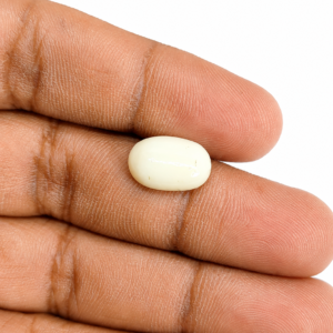 Natural White Coral ( Safed Moonga) 5.5 Ratti