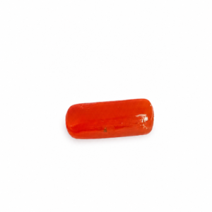 ChatGPT Image Jul 5, 2026, 02 40 58 AM