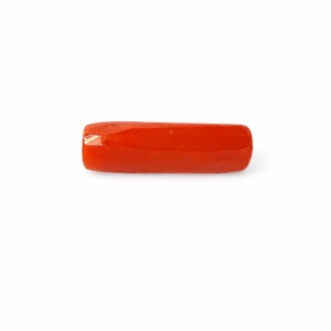 ChatGPT Image Jul 6, 2026, 12 08 30 AM